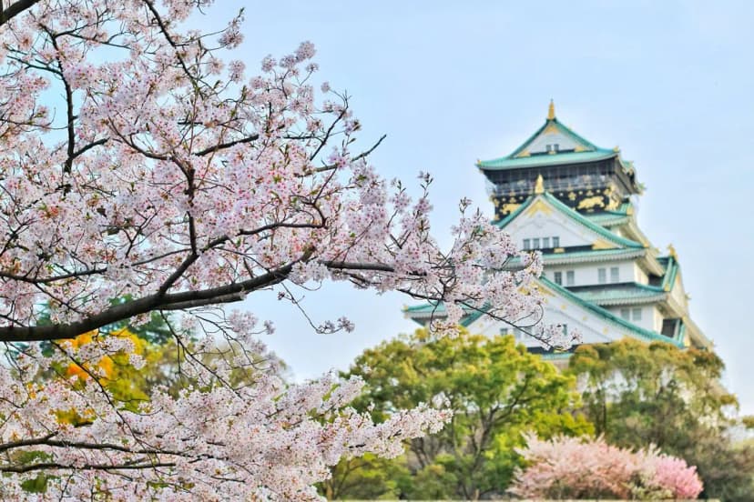 Scenic view of Blooming Japan